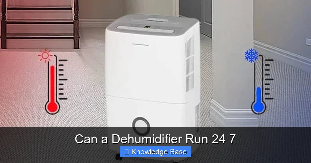 Can a Dehumidifier Run 24 7