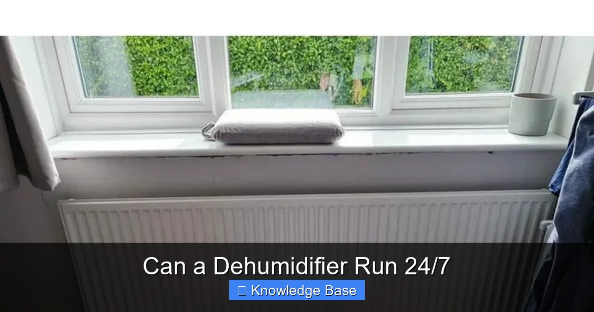 Can a Dehumidifier Run 24/7