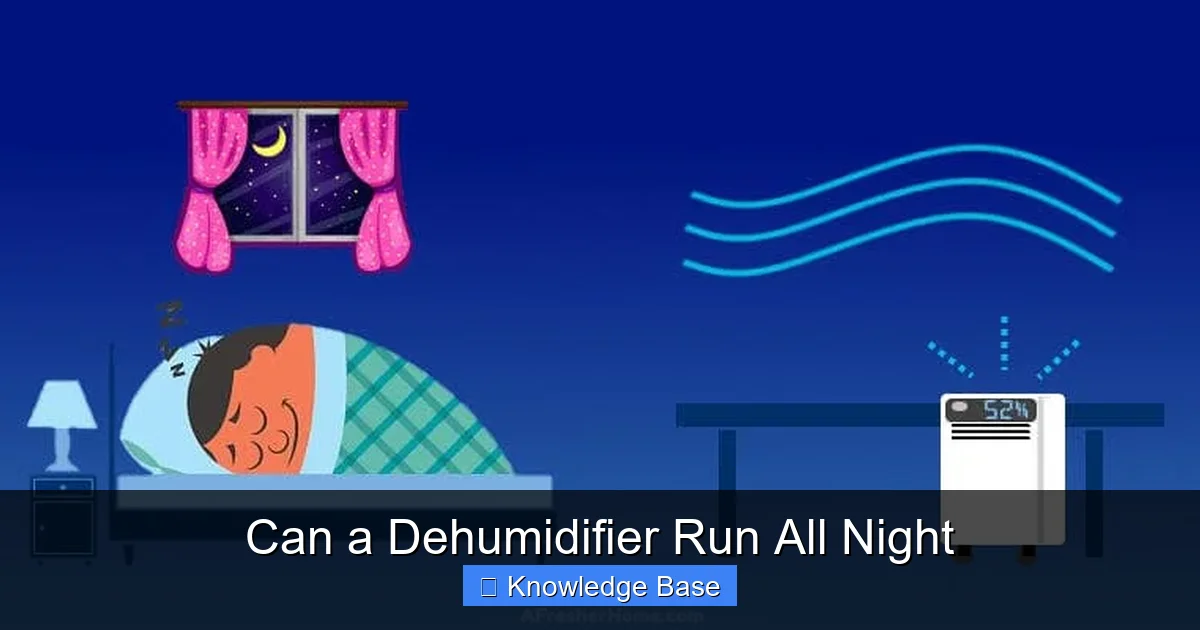Can a Dehumidifier Run All Night