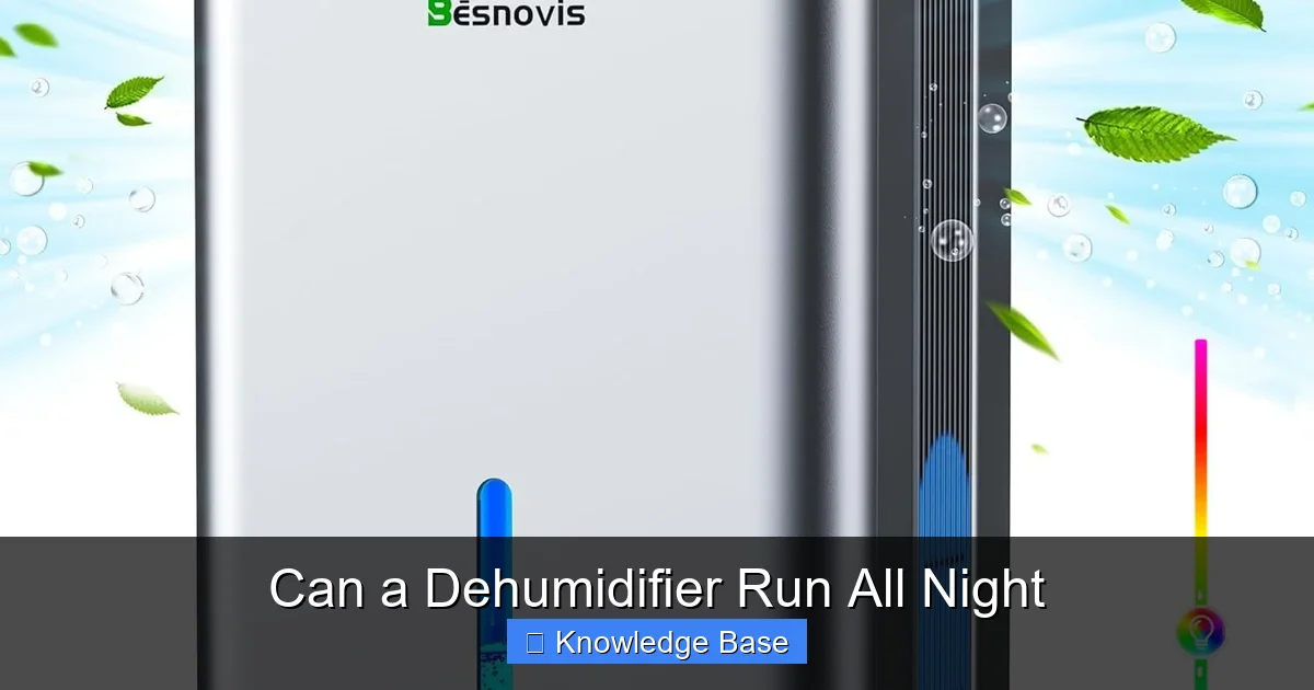 Can a Dehumidifier Run All Night