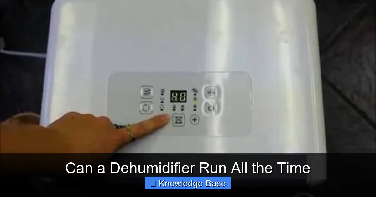 Can a Dehumidifier Run All the Time
