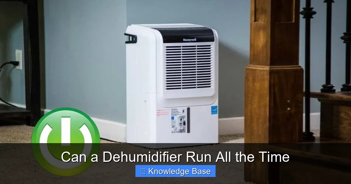 Can a Dehumidifier Run All the Time
