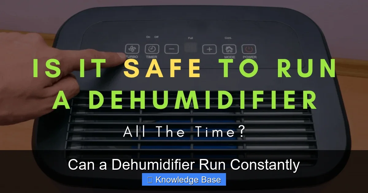 Can a Dehumidifier Run Constantly