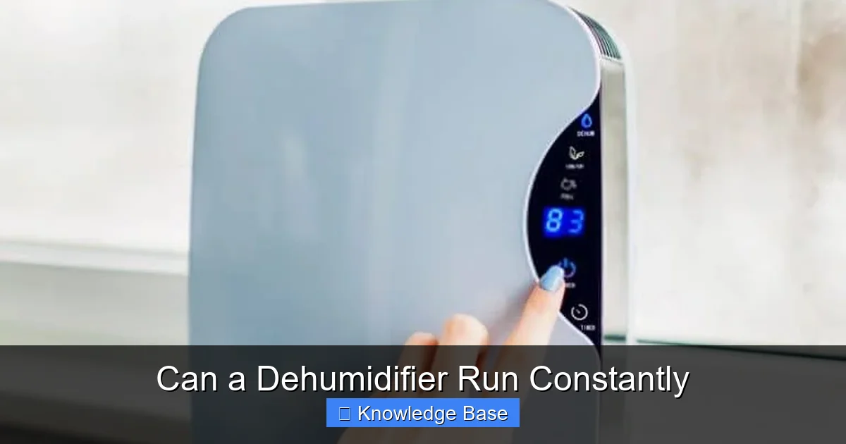 Can a Dehumidifier Run Constantly