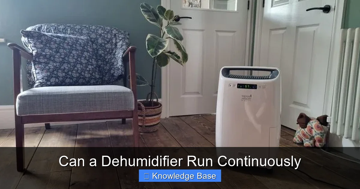 Can a Dehumidifier Run Continuously