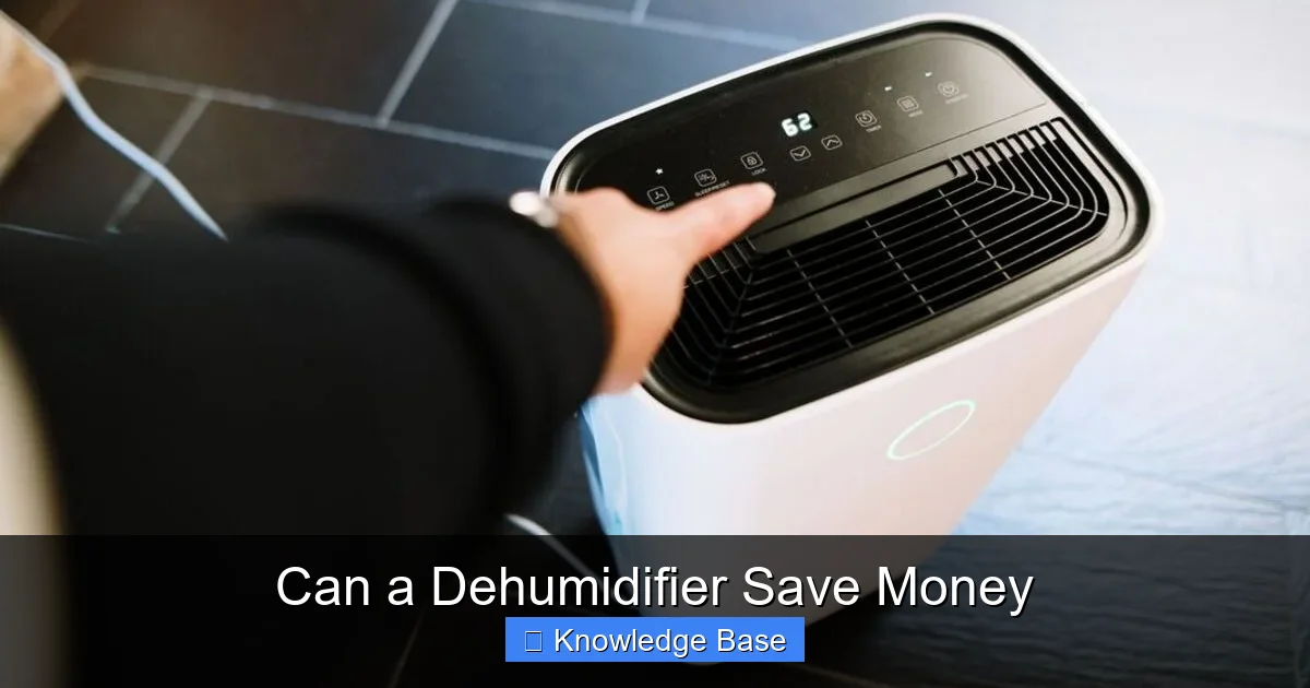 Can a Dehumidifier Save Money