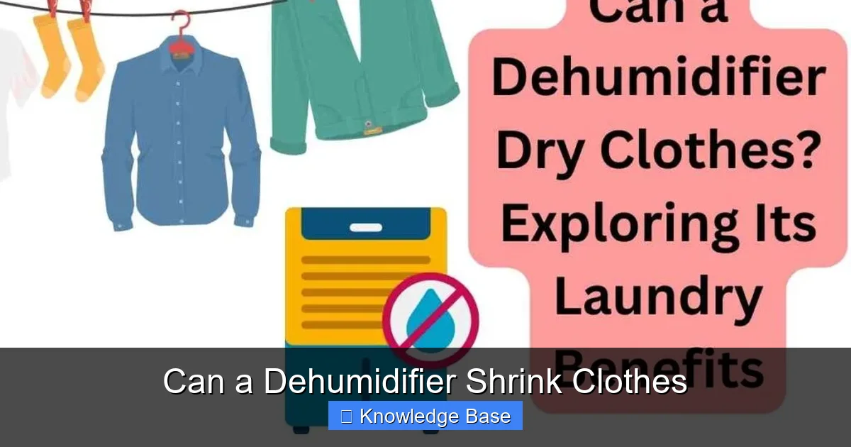 Can a Dehumidifier Shrink Clothes