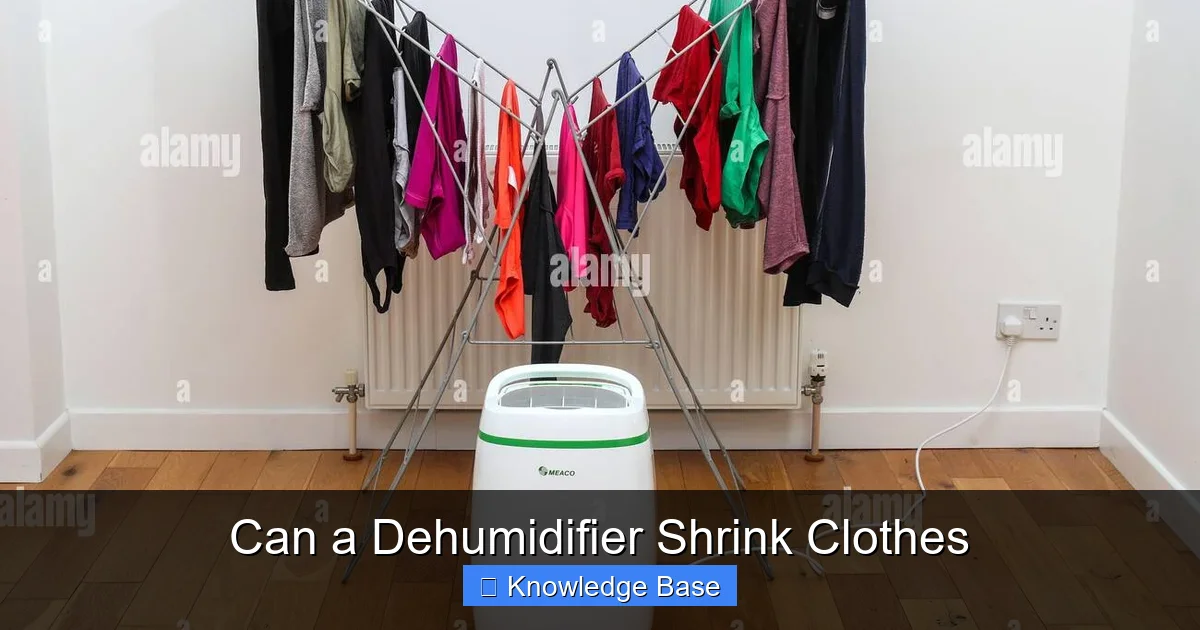 Can a Dehumidifier Shrink Clothes