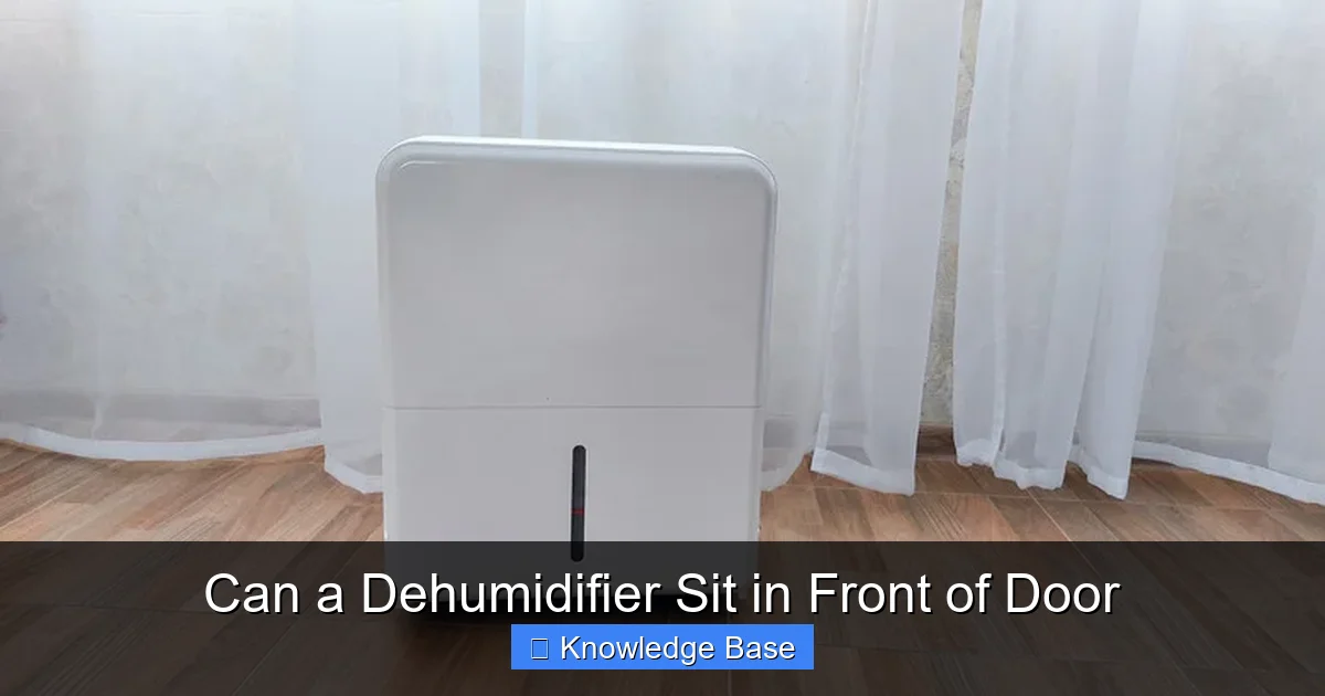 Can a Dehumidifier Sit in Front of Door