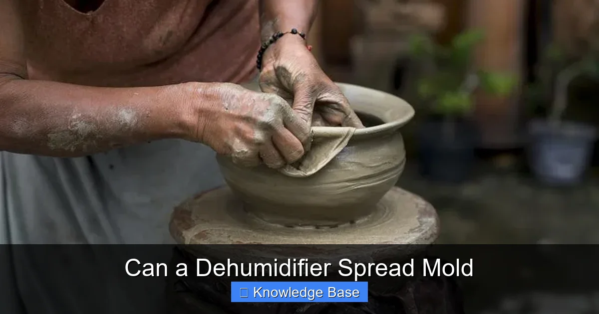 Can a Dehumidifier Spread Mold