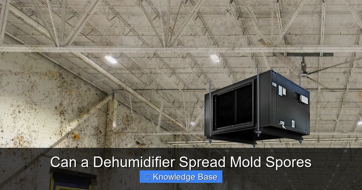 Can a Dehumidifier Spread Mold Spores