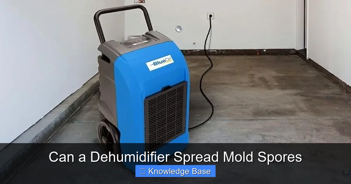 Can a Dehumidifier Spread Mold Spores