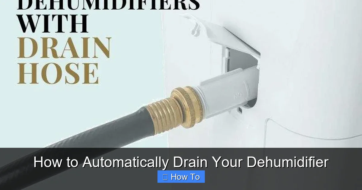How to Automatically Drain Your Dehumidifier
