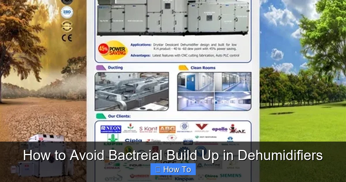 How to Avoid Bactreial Build Up in Dehumidifiers