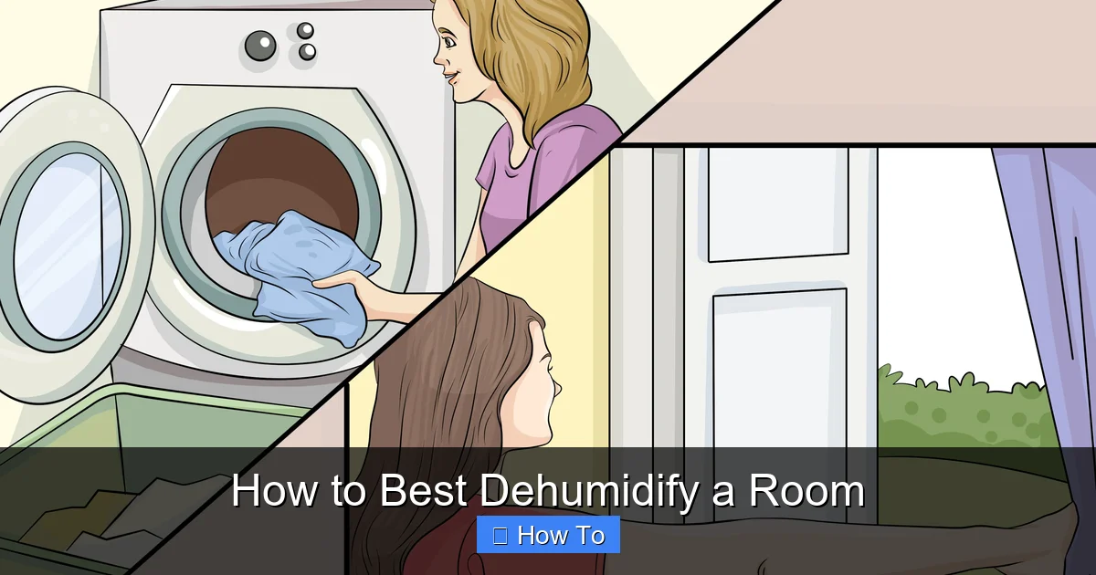 How to Best Dehumidify a Room