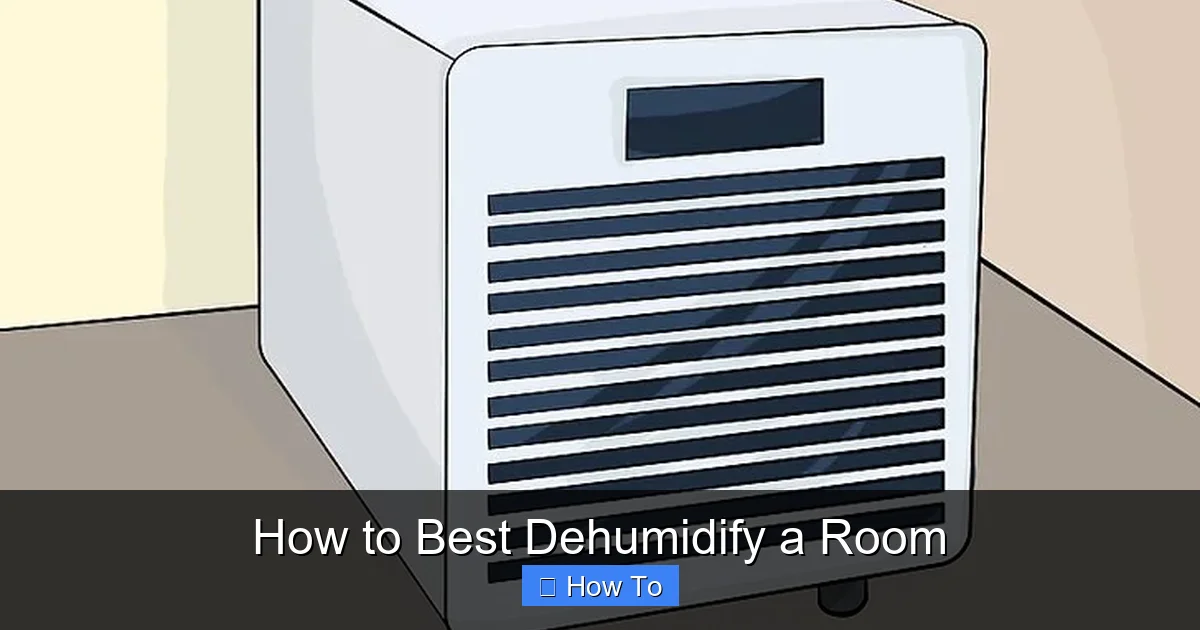 How to Best Dehumidify a Room