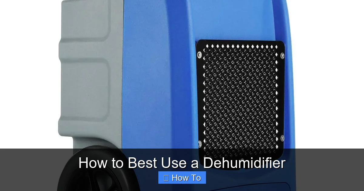 How to Best Use a Dehumidifier