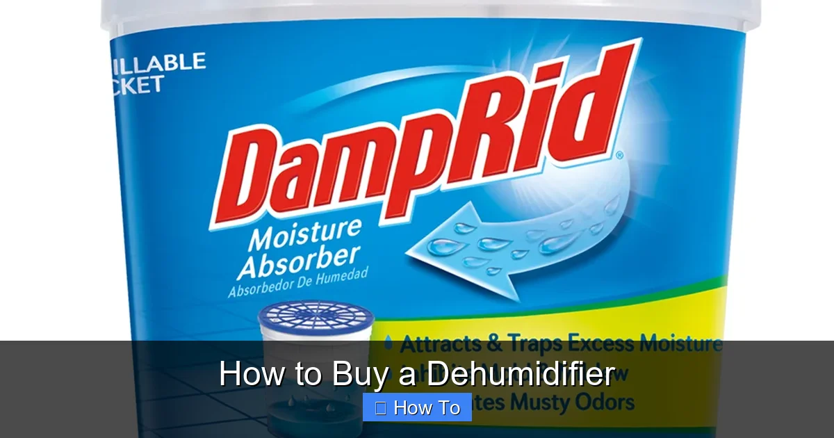How to Buy a Dehumidifier