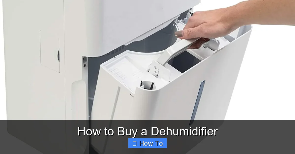 How to Buy a Dehumidifier