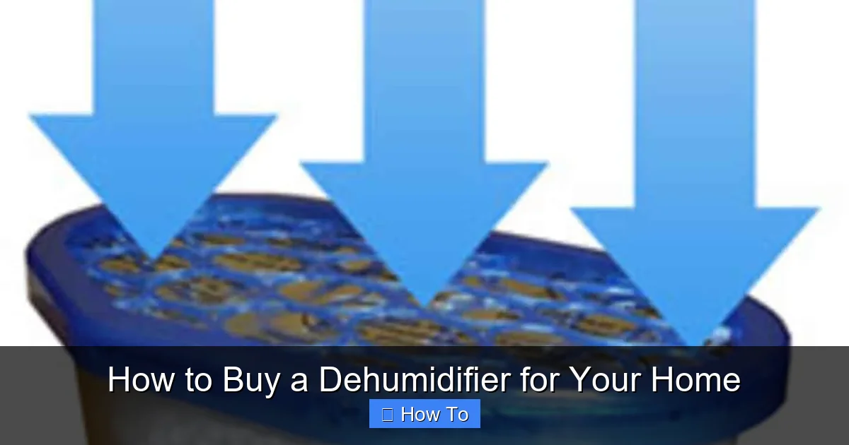 How to Buy a Dehumidifier for Your Home