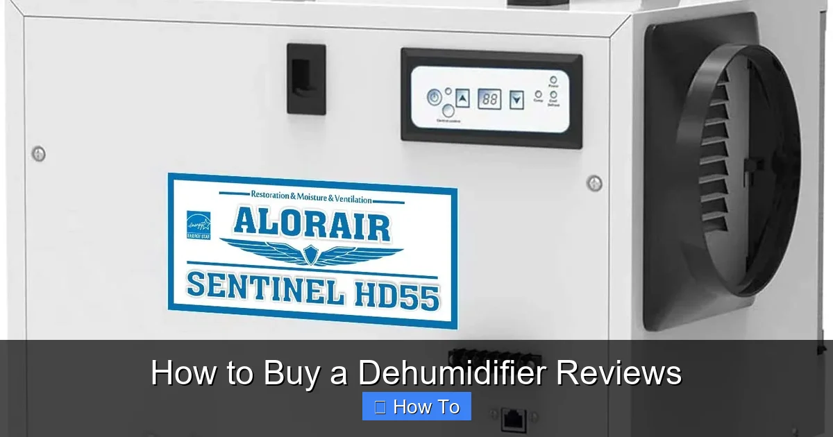 How to Buy a Dehumidifier Reviews