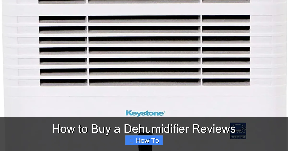 How to Buy a Dehumidifier Reviews