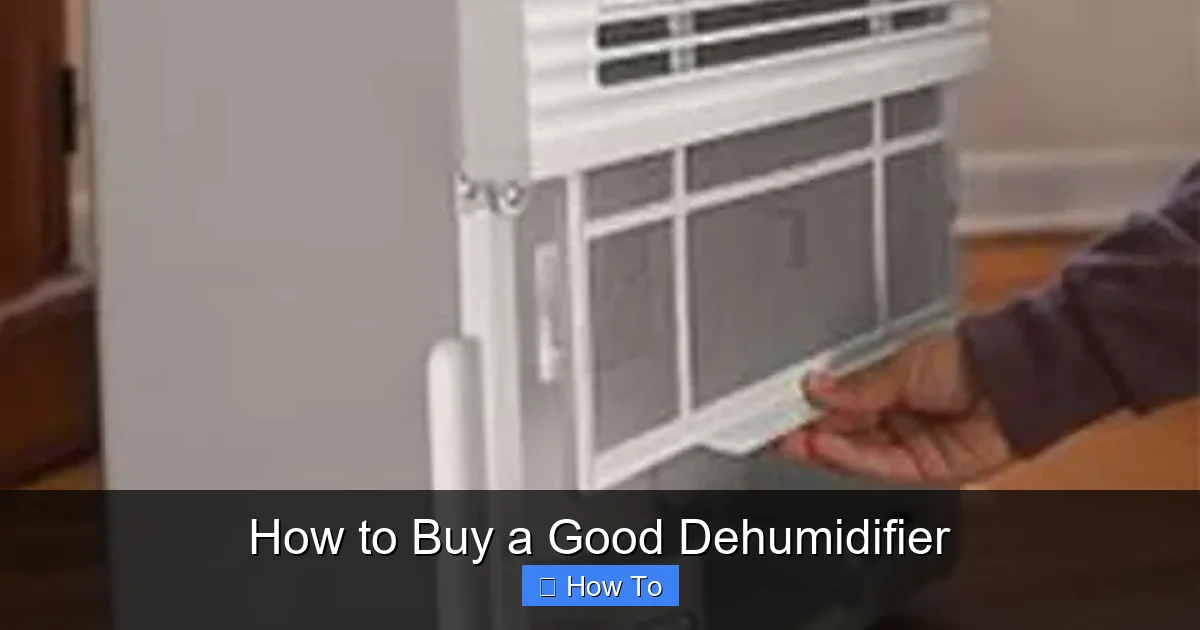 How to Buy a Good Dehumidifier