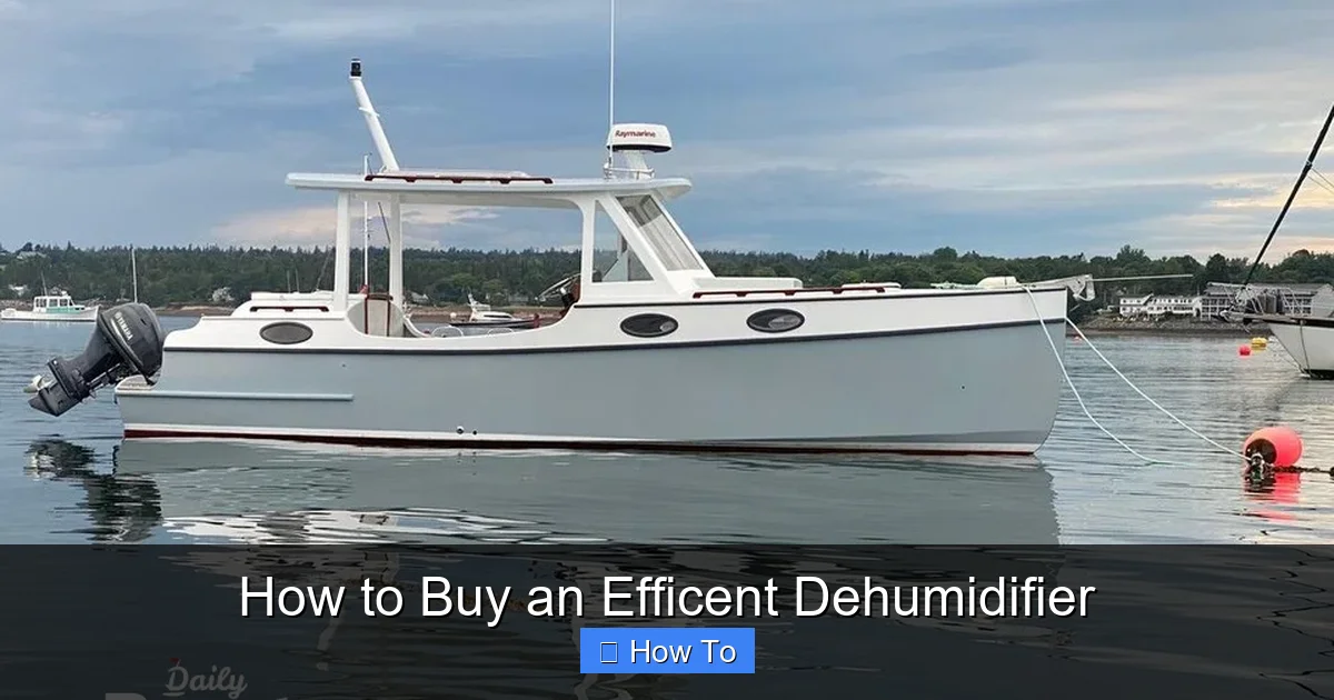 How to Buy an Efficent Dehumidifier