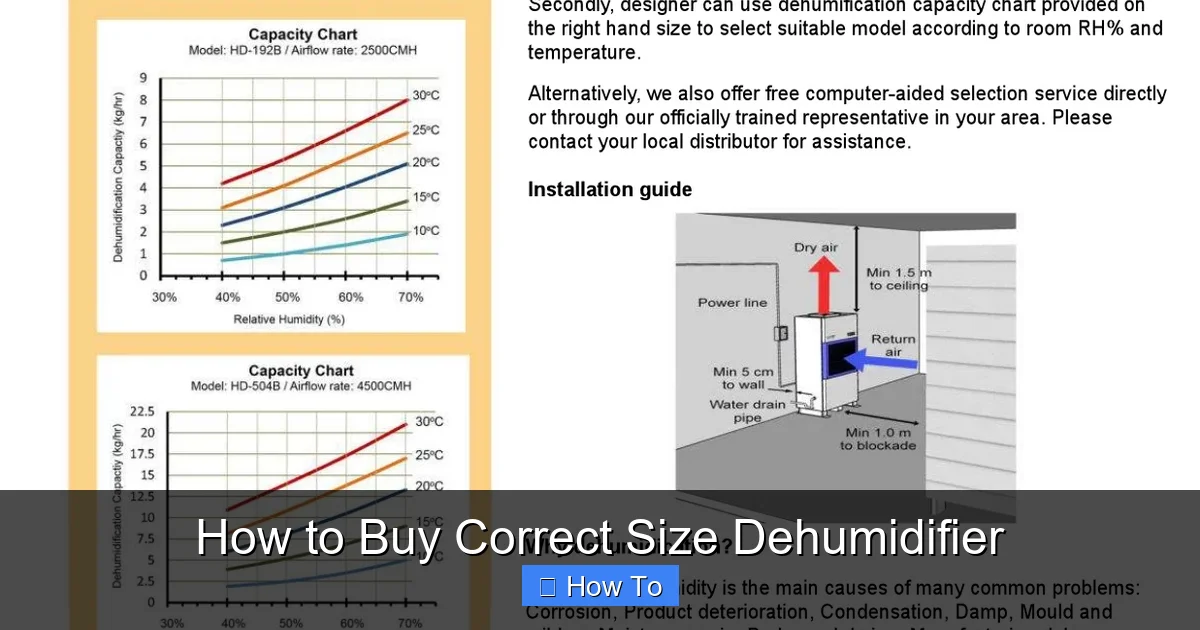 How to Buy Correct Size Dehumidifier