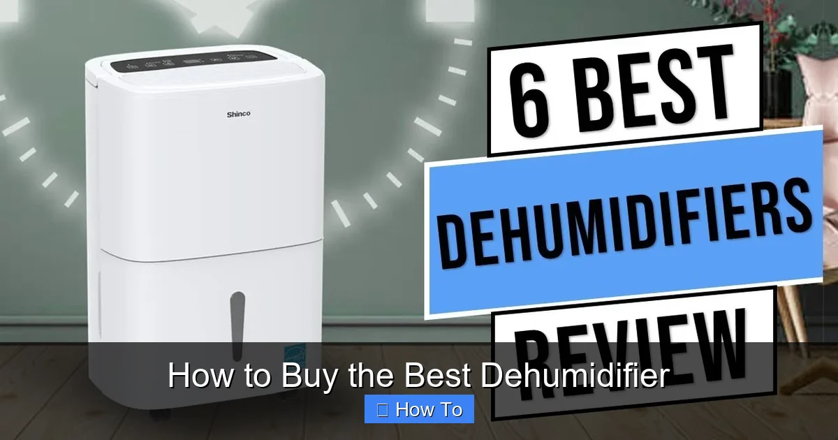 How to Buy the Best Dehumidifier