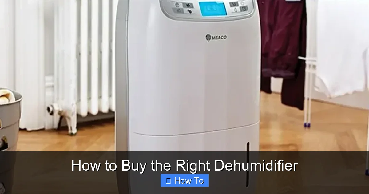 How to Buy the Right Dehumidifier