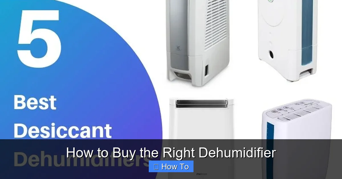 How to Buy the Right Dehumidifier