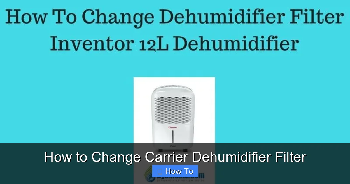 How to Change Carrier Dehumidifier Filter