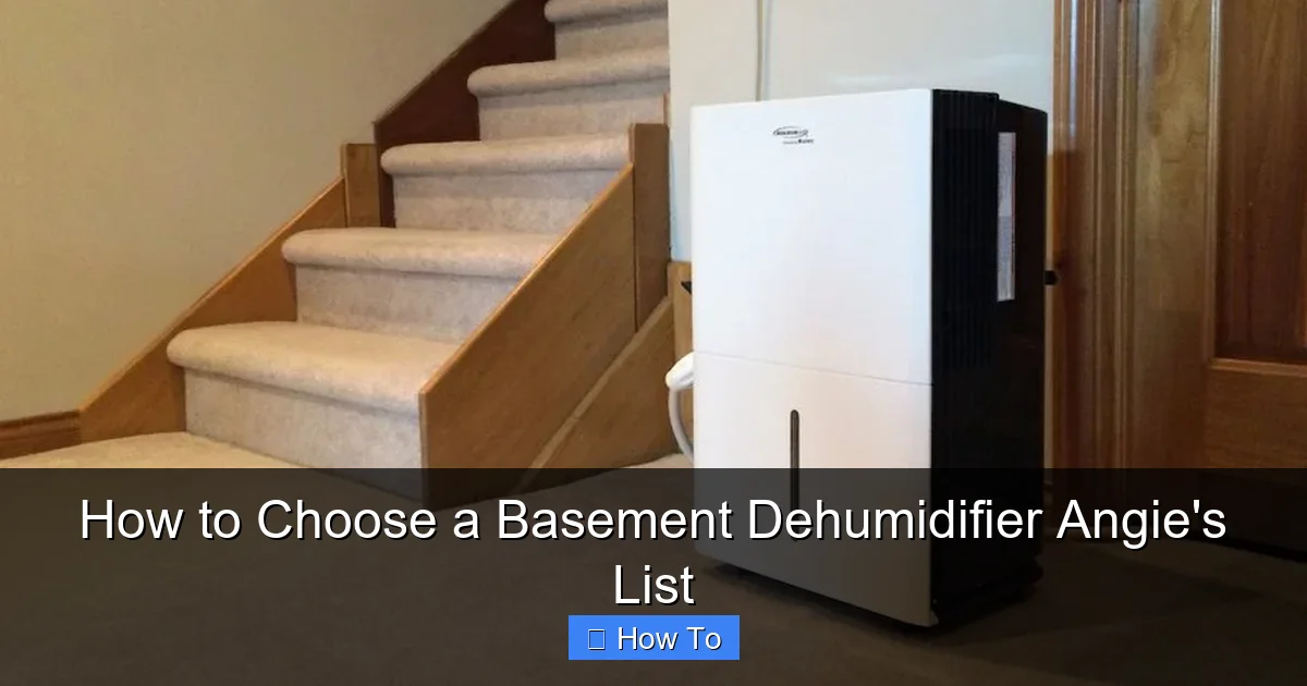How to Choose a Basement Dehumidifier Angie's List