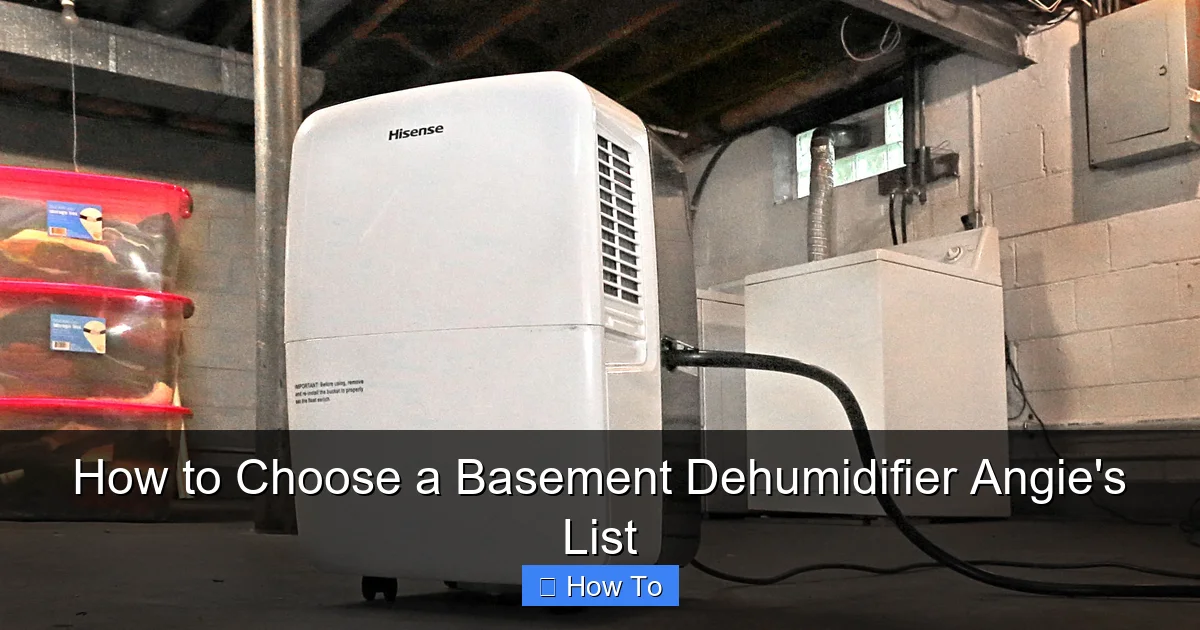 How to Choose a Basement Dehumidifier Angie's List