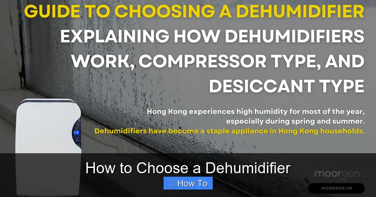 How to Choose a Dehumidifier