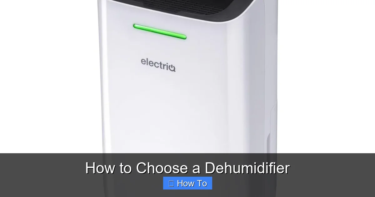 How to Choose a Dehumidifier
