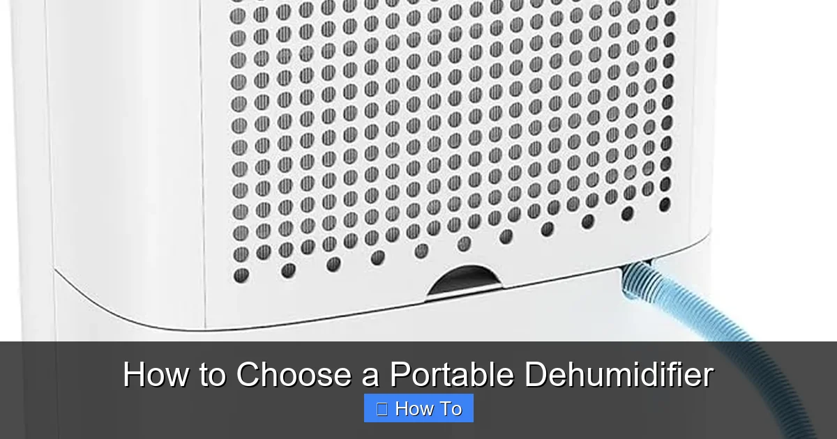 How to Choose a Portable Dehumidifier