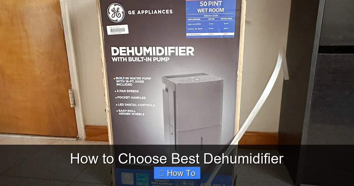 How to Choose Best Dehumidifier