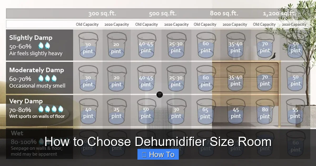 How to Choose Dehumidifier Size Room