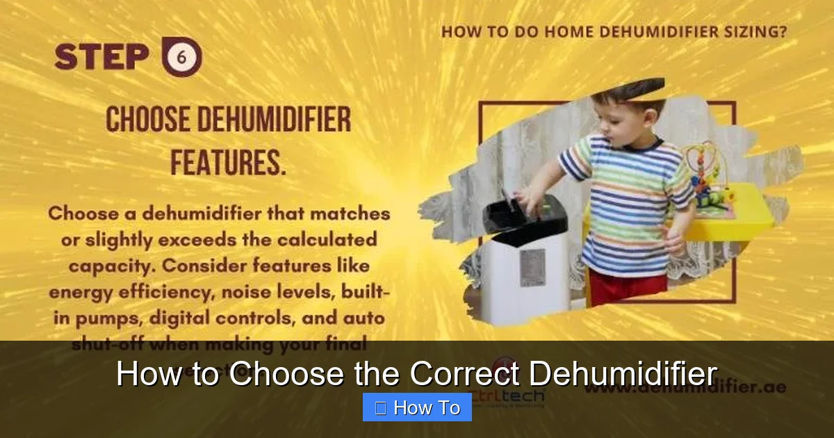 How to Choose the Correct Dehumidifier