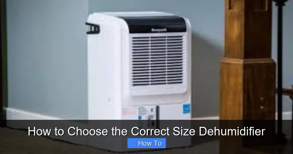 How to Choose the Correct Size Dehumidifier