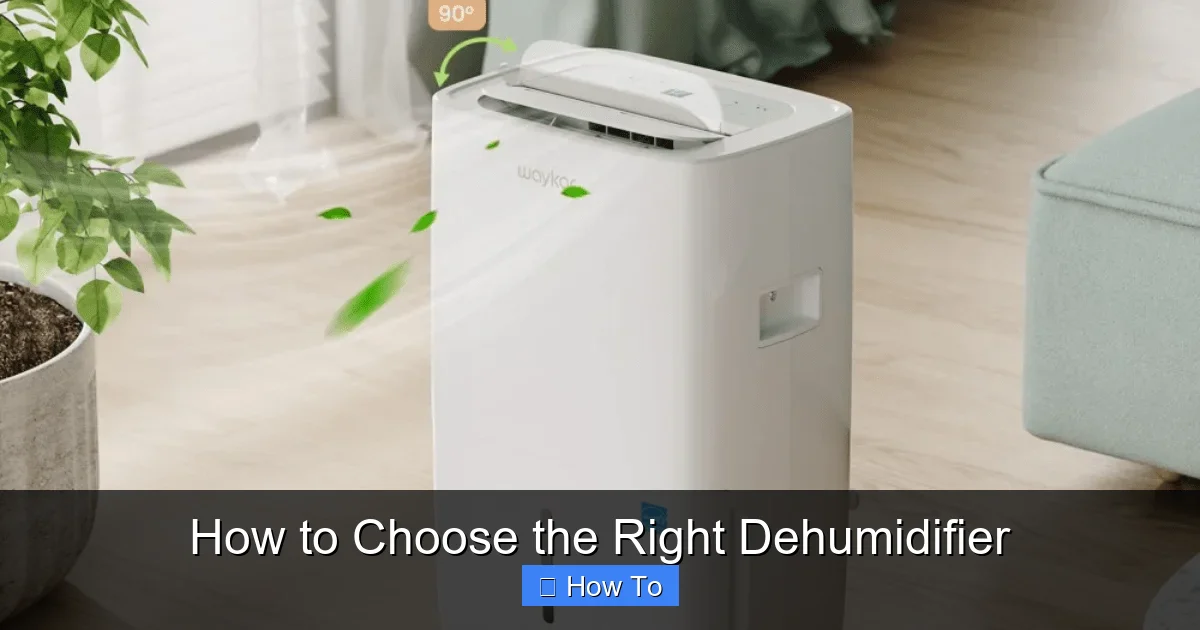 How to Choose the Right Dehumidifier
