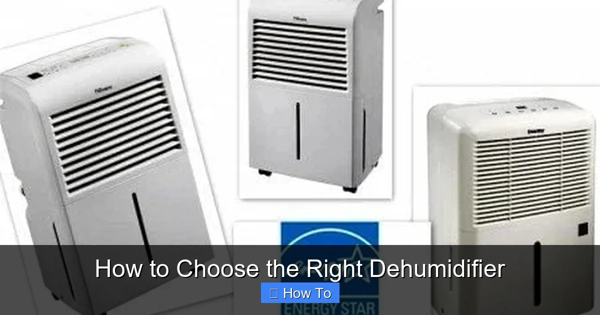 How to Choose the Right Dehumidifier
