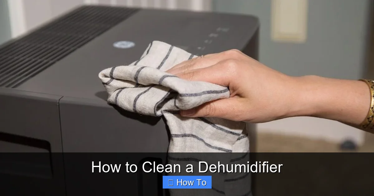 How to Clean a Dehumidifier