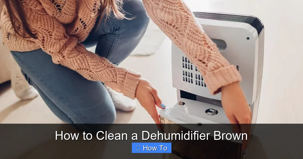 How to Clean a Dehumidifier Brown