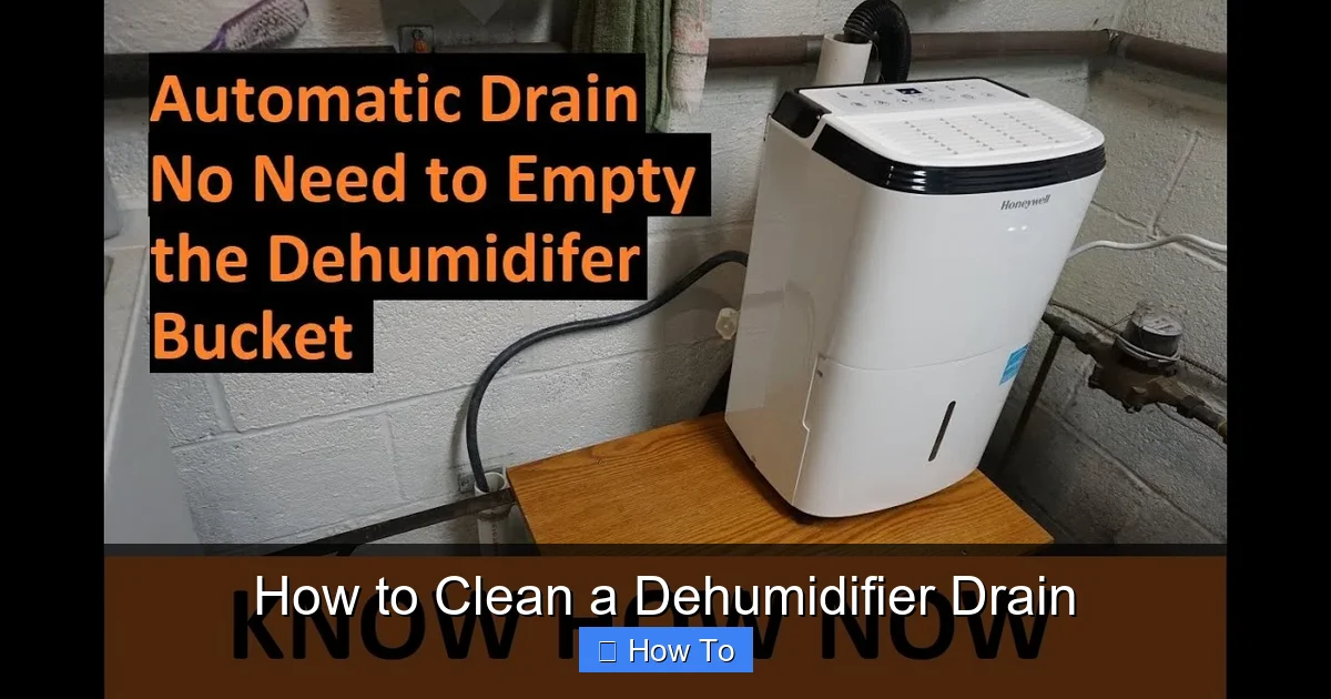 How to Clean a Dehumidifier Drain