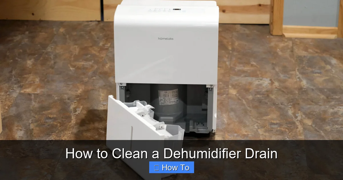 How to Clean a Dehumidifier Drain