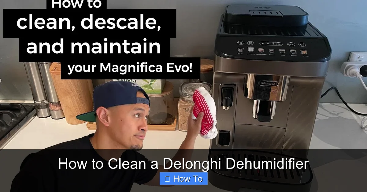 How to Clean a Delonghi Dehumidifier