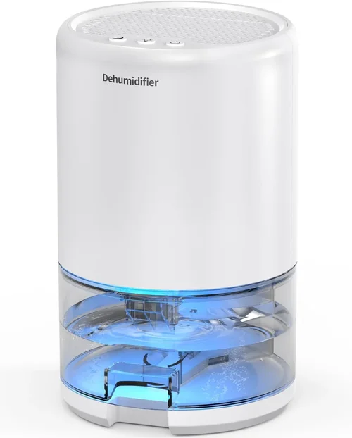 Dehumidifier Placement Guide 2026